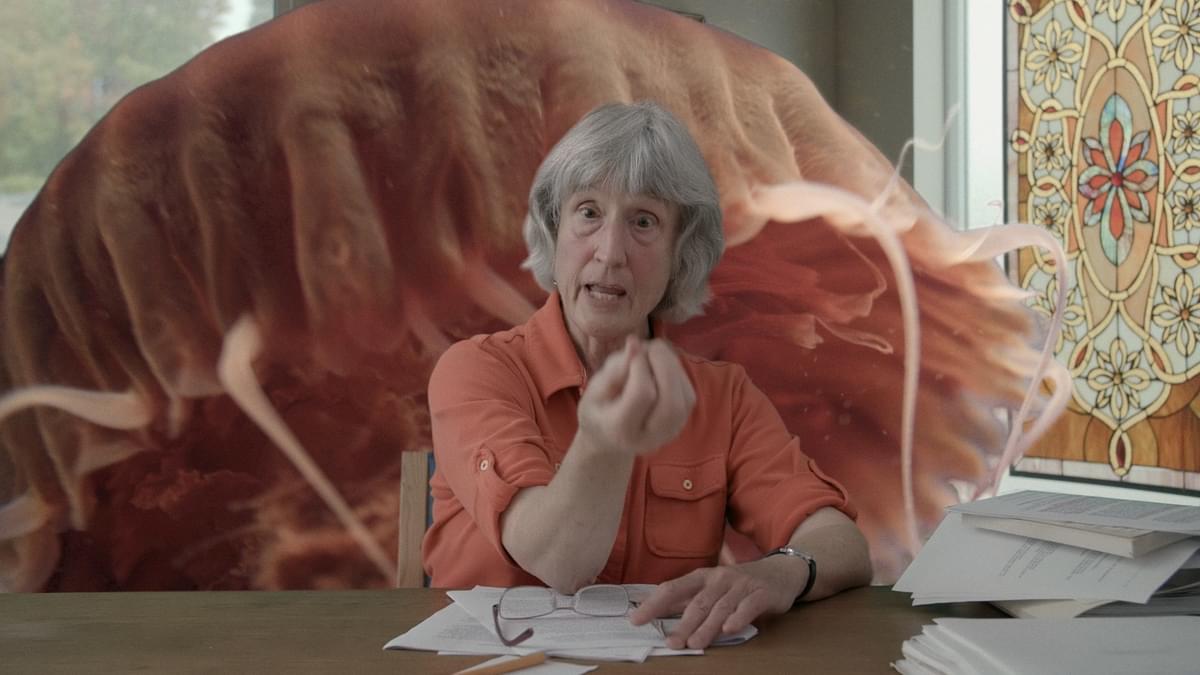 In_Out 2022 Donna Haraway#3