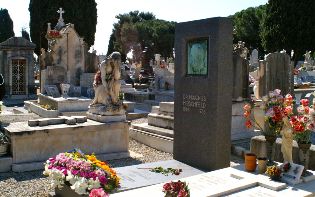 Magnus, Jean et les autres [Lectures]